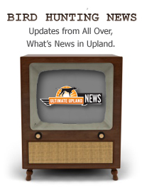Bird Hunting News