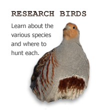 Ultimate Upland Birds